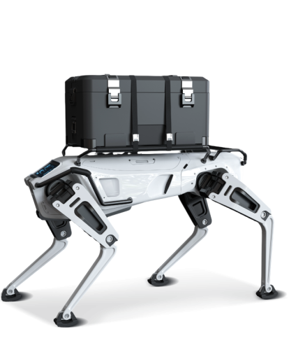 Quadruped Robots
